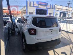 جيب رينيجيد